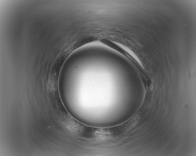 X0000079300515200611251716