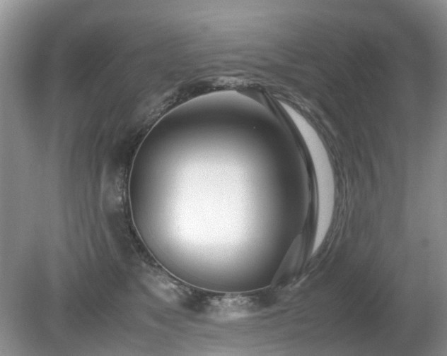 X0000079300517200611251716