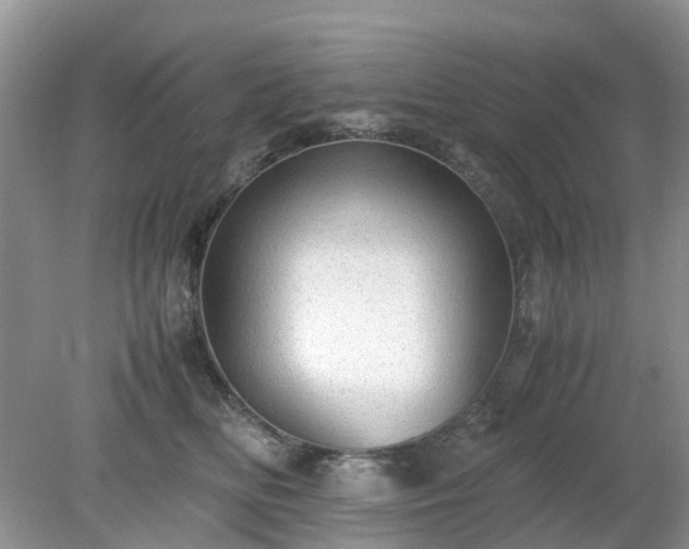 X0000079300518200611251716