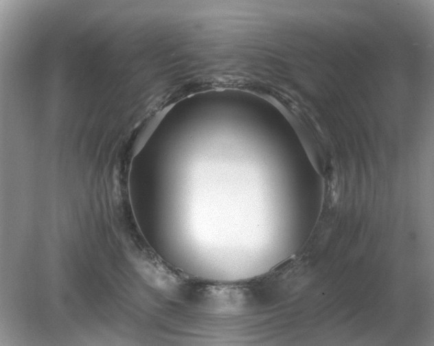 X0000079300520200611251716