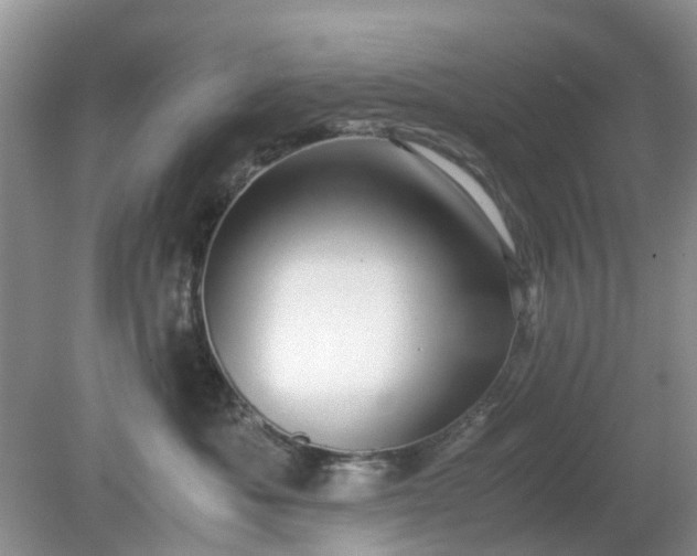 X0000079300525200611251716