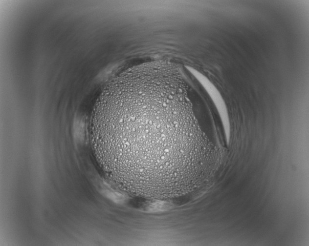 X0000079300527200611251716