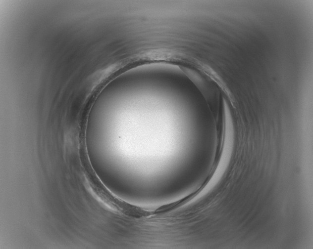 X0000079300530200611251715