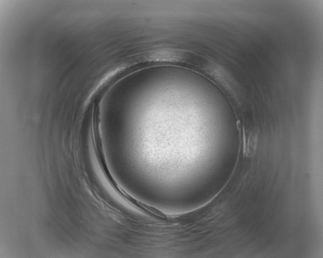 X0000079300531200611251715