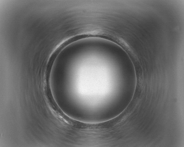 X0000079300532200611251715