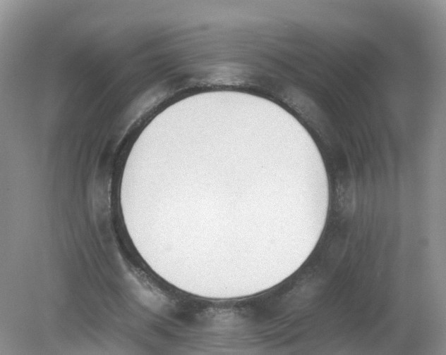 X0000079300534200611251715