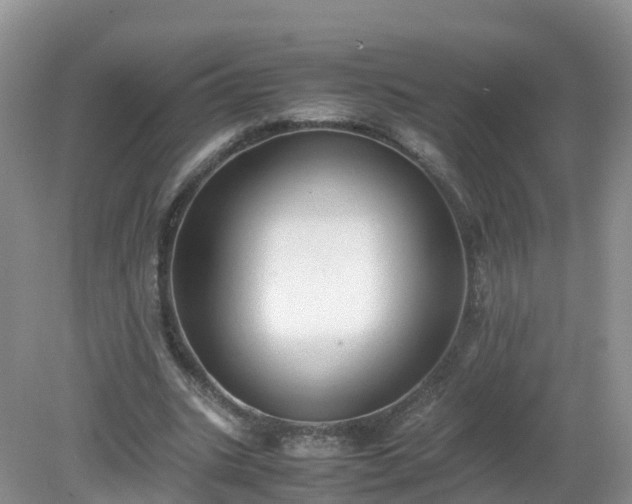 X0000079300535200611251715
