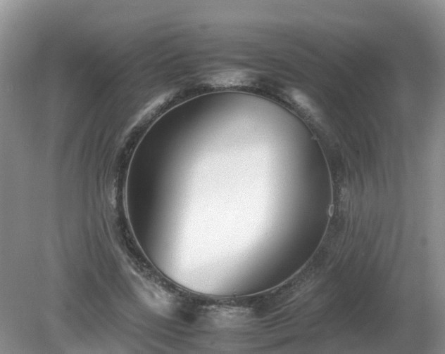 X0000079300539200611251715