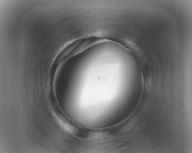 X0000079300540200611251715