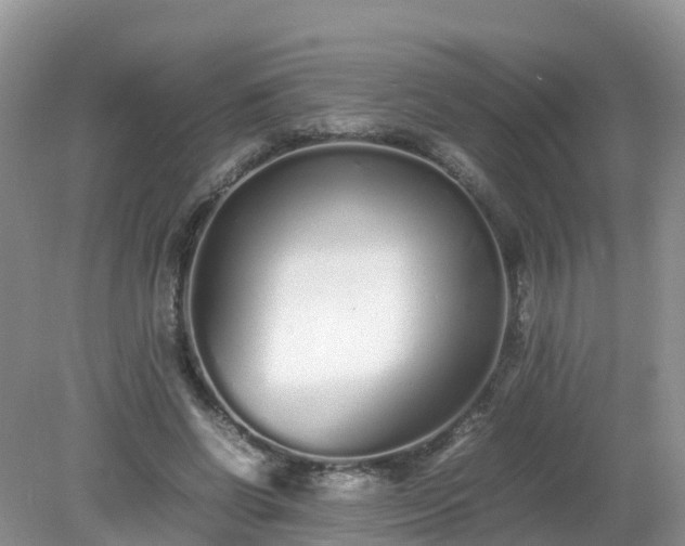 X0000079300542200611251715