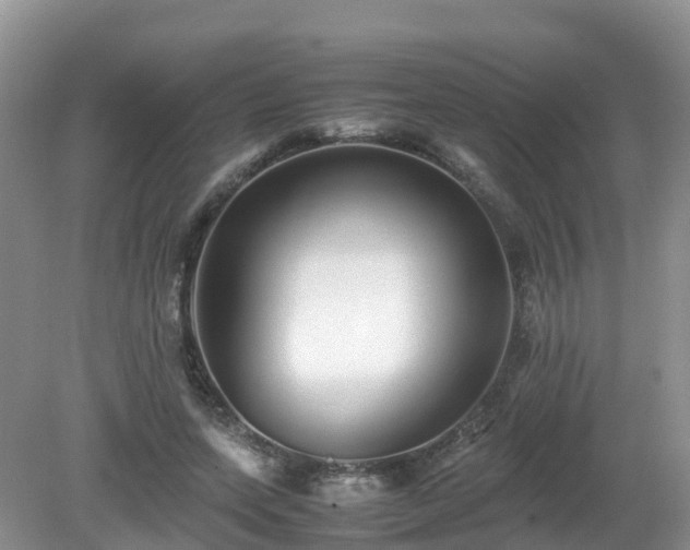 X0000079300543200611251715