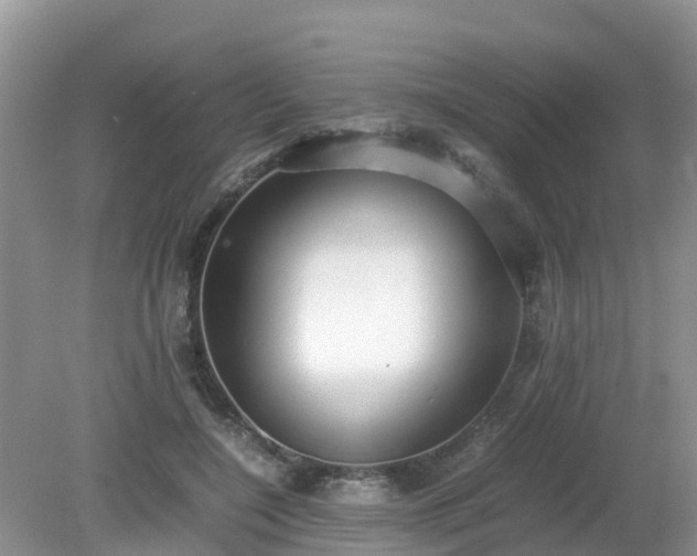 X0000079300548200611251716