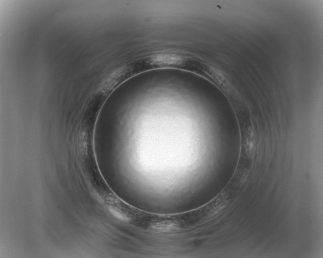X0000079300551200611251716