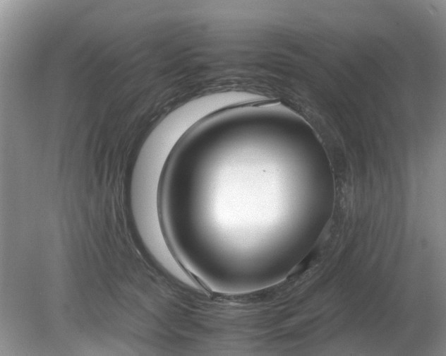 X0000079300561200611251716