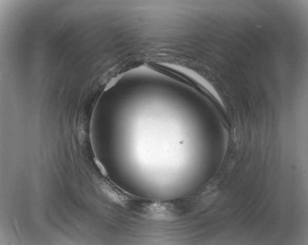 X0000079300566200611251716