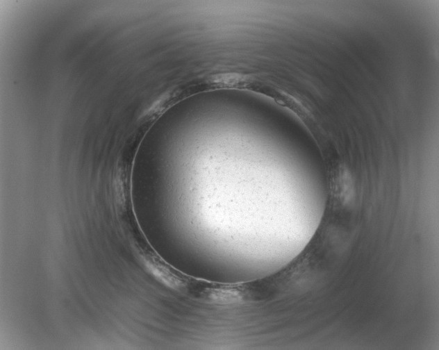 X0000079300572200611251716