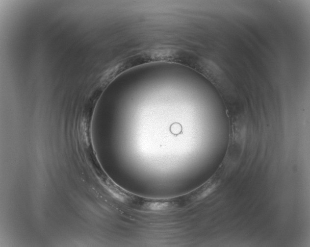 X0000079300575200611251716