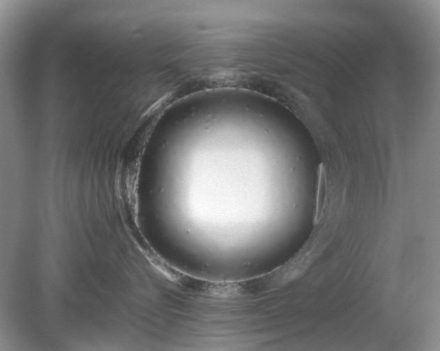 X0000079300576200611251716