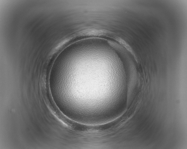 X0000079300581200611251715