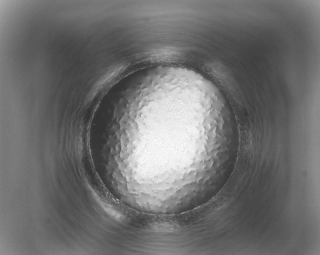 X0000079300586200611251715