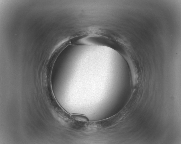 X0000079300587200611251715
