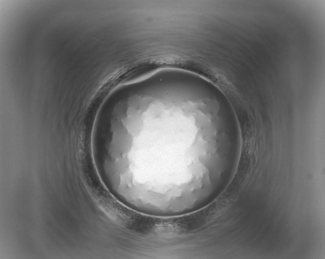 X0000079300591200611251715