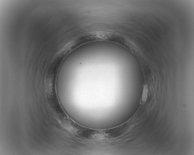 X0000079300595200611251715