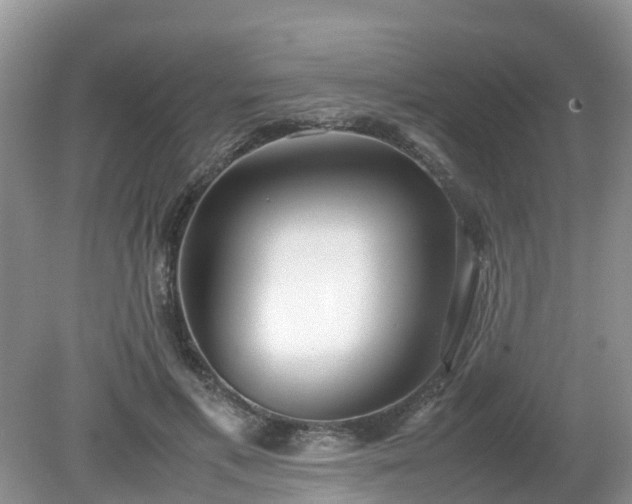 X0000079300597200611251715