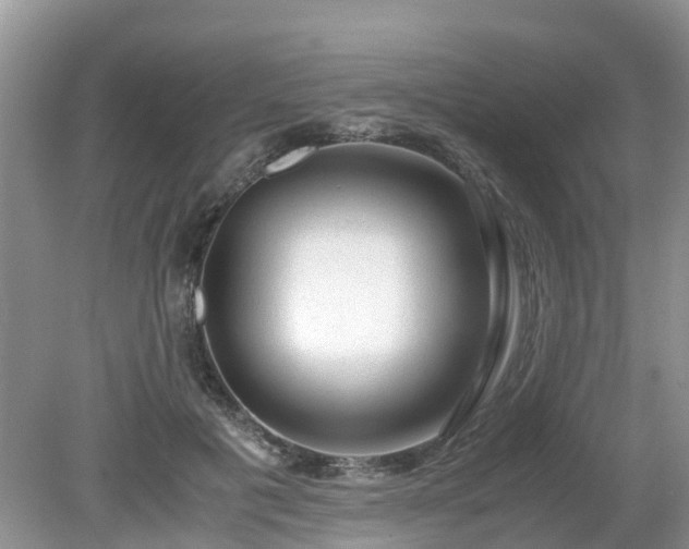X0000079300601200611251715
