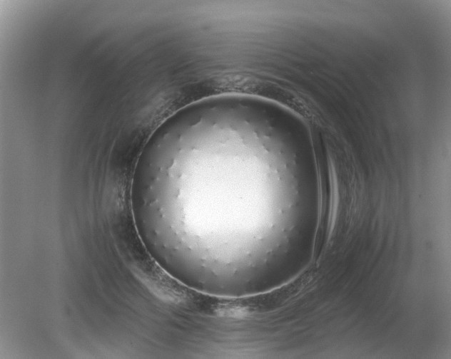 X0000079300602200611251715