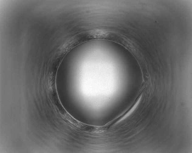 X0000079300604200611251715