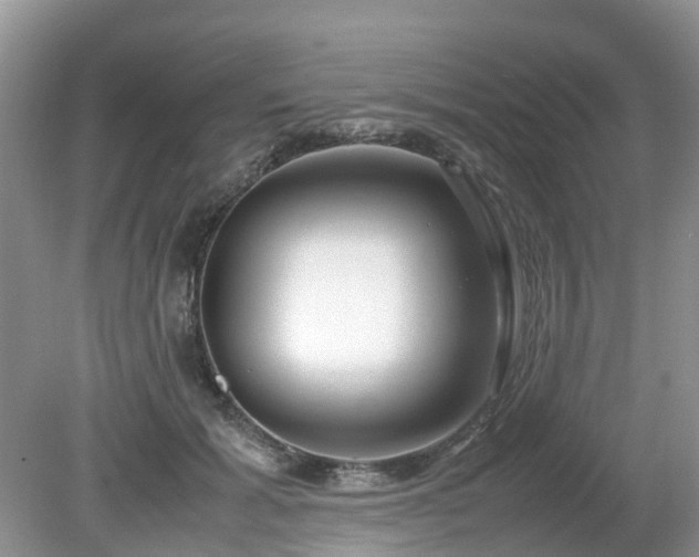 X0000079300605200611251715