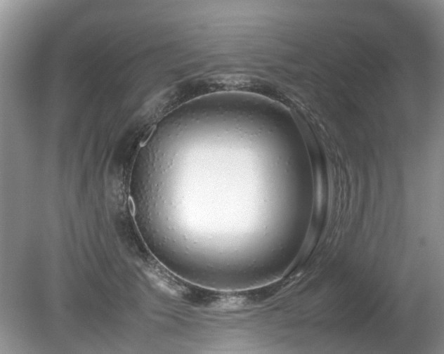X0000079300609200611251715