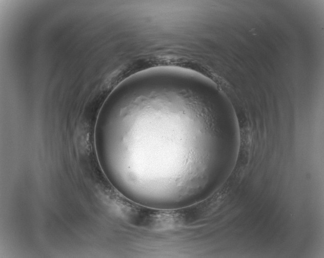 X0000079300615200611251715