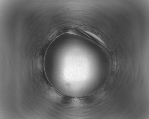 X0000079300616200611251715