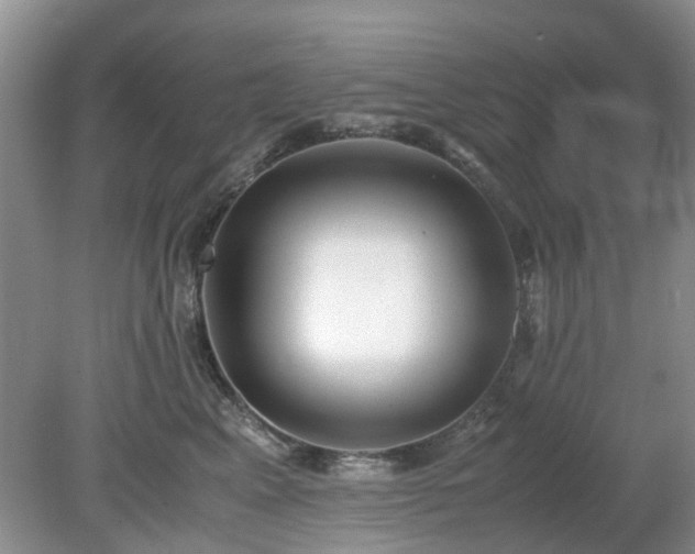 X0000079300617200611251715