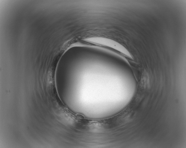 X0000079300620200611251714