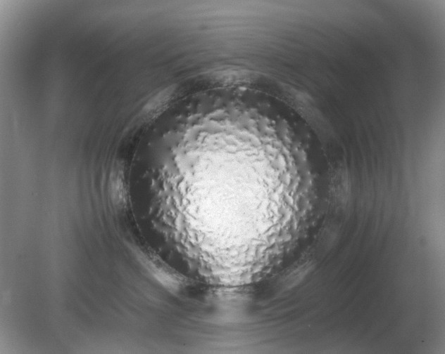 X0000079300622200611251714