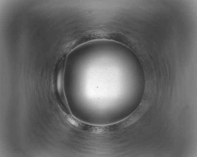 X0000079300624200611251714
