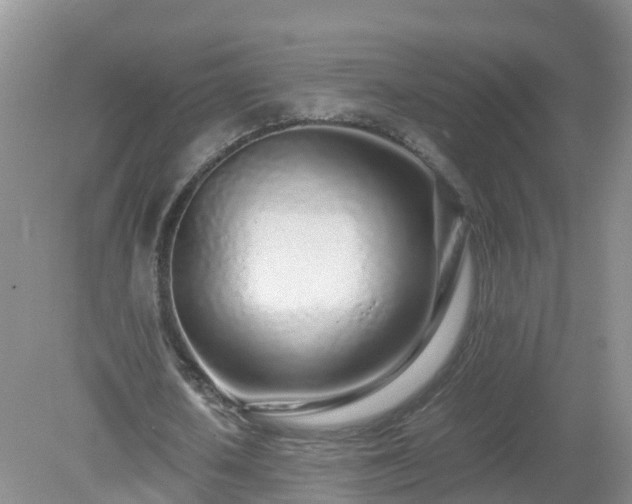 X0000079300626200611251714