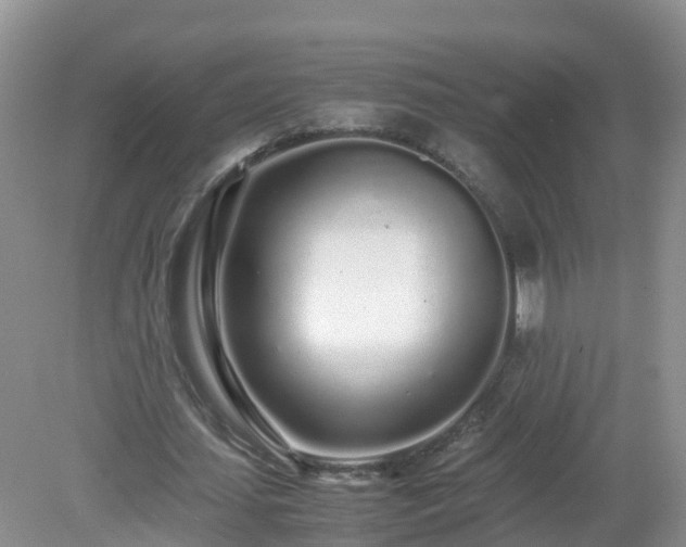 X0000079300627200611251714