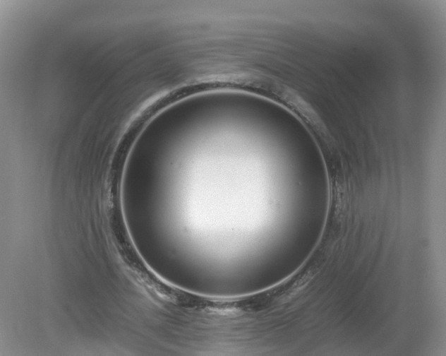 X0000079300628200611251714