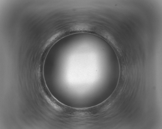X0000079300629200611251714