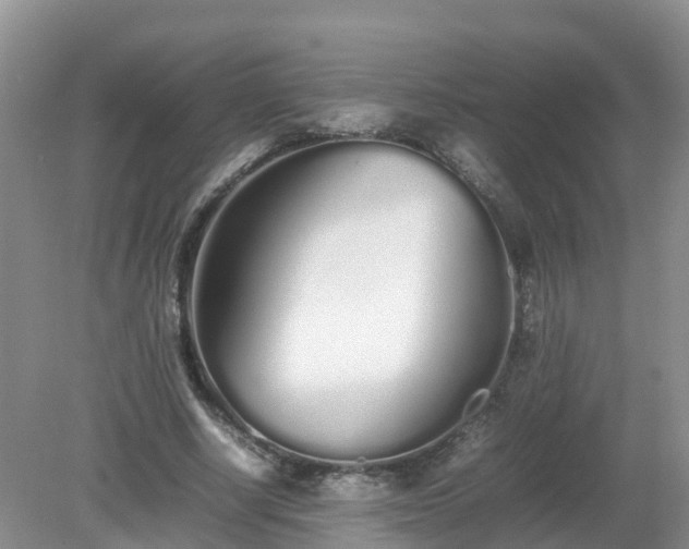 X0000079300634200611251714