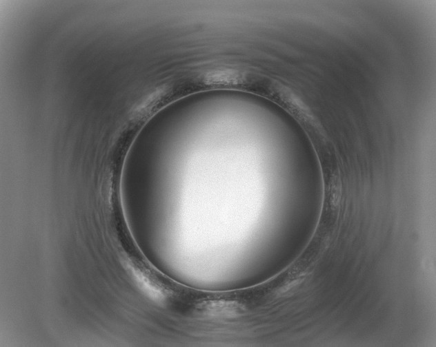 X0000079300637200611251714