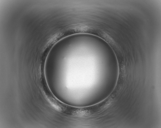 X0000079300638200611251714