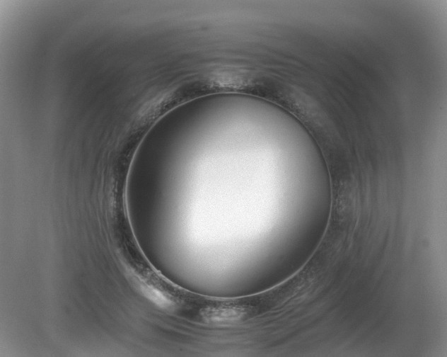 X0000079300639200611251714