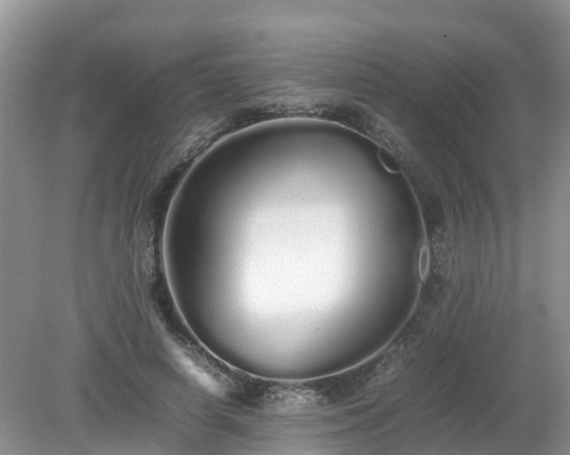 X0000079300642200611251714