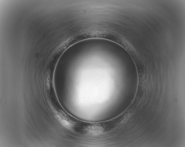 X0000079300644200611251714