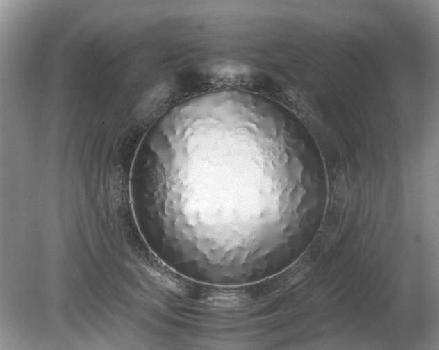 X0000079300659200611251714